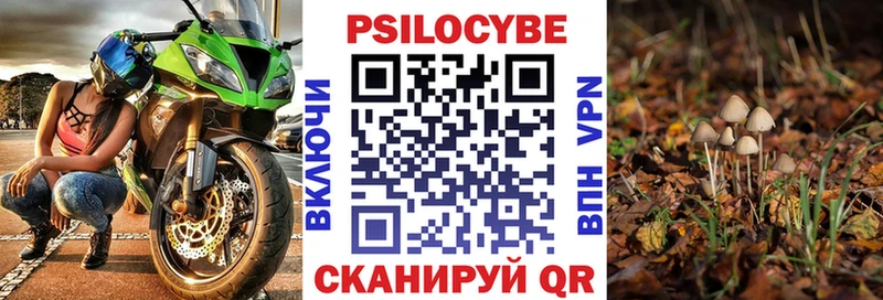 Псилоцибиновые грибы мицелий  как найти закладки  Вятские Поляны 